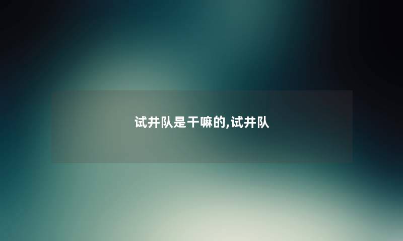 试井队是干嘛的,试井队