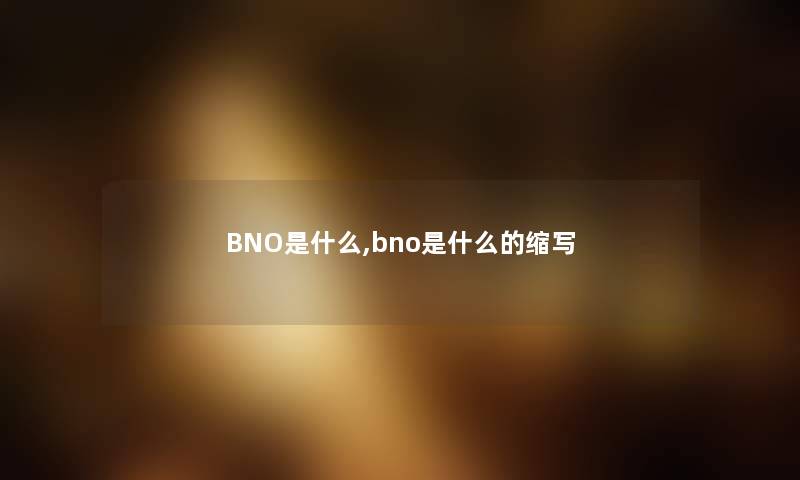 BNO是什么,bno是什么的缩写