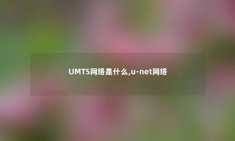 UMTS网络是什么,u-net网络