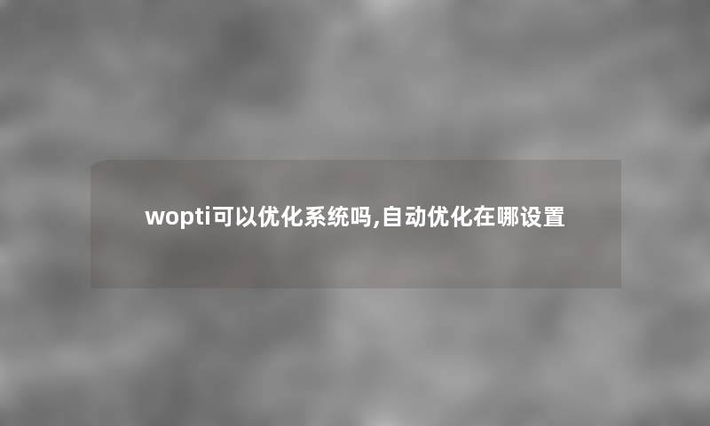 wopti可以优化系统吗,自动优化在哪设置