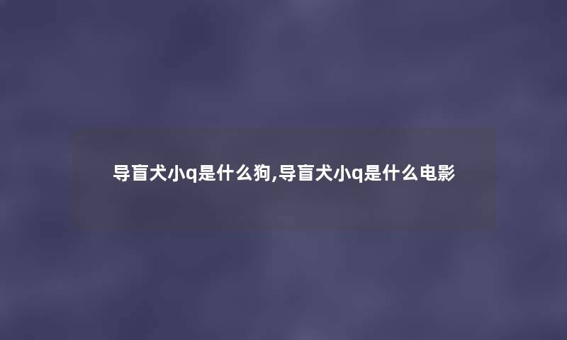 导盲犬小q是什么狗,导盲犬小q是什么电影