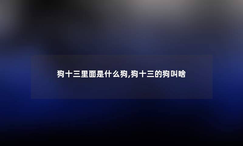 狗十三里面是什么狗,狗十三的狗叫啥