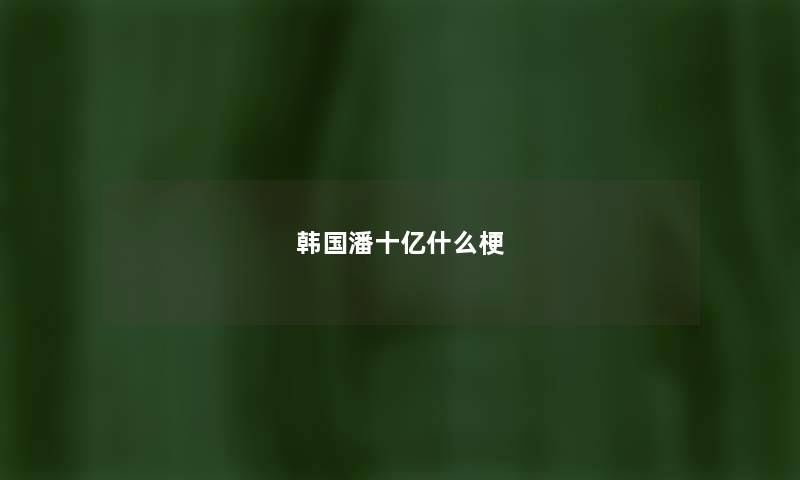韩国潘十亿什么梗