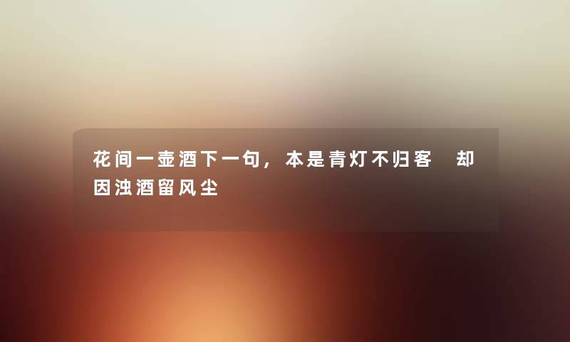 花间一壶酒下一句,本是青灯不归客 却因浊酒留风尘