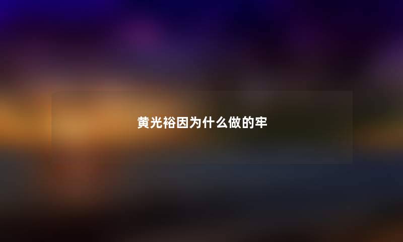 黄光裕因为什么做的牢