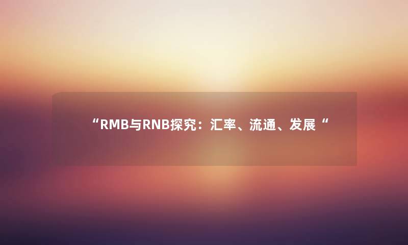 “RMB与RNB探究：汇率、流通、发展“