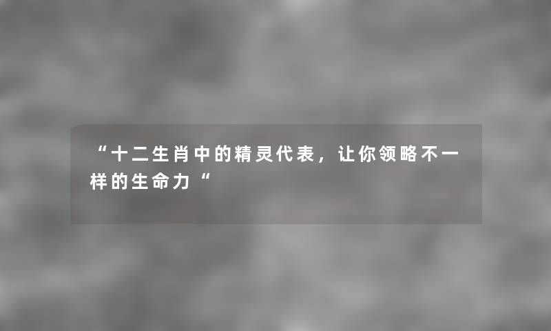 “十二生肖中的精灵代表，让你领略不一样的生命力“
