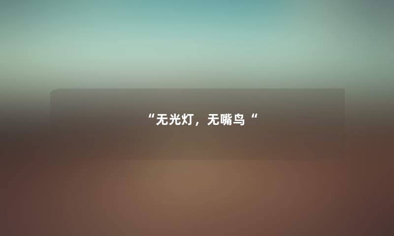 “无光灯，无嘴鸟“