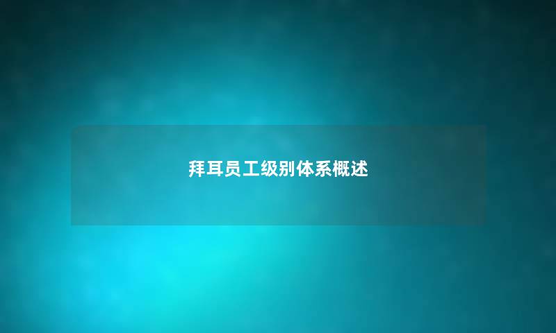 拜耳员工级别体系概述