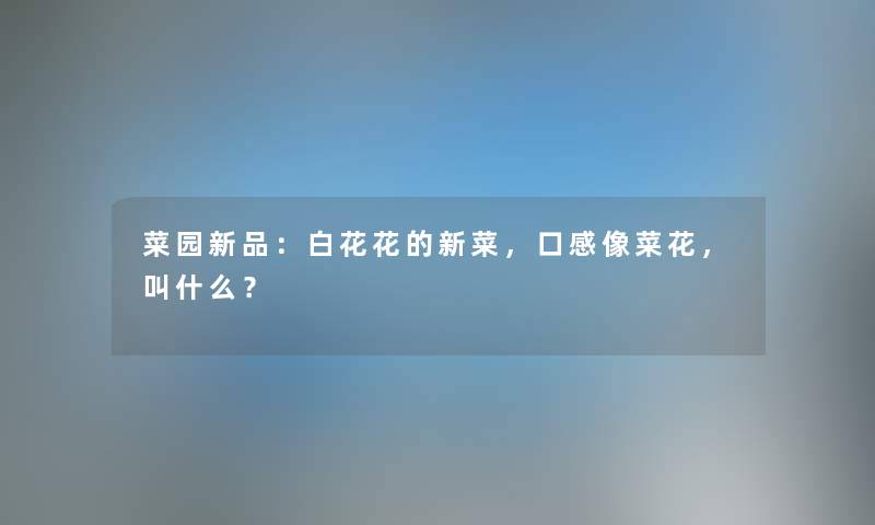菜园新品：白花花的新菜，口感像菜花，叫什么？
