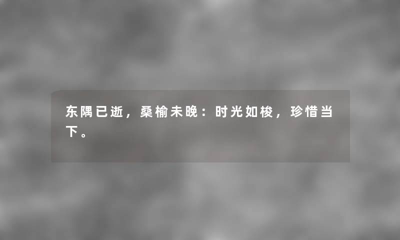 东隅已逝，桑榆未晚：时光如梭，珍惜当下。