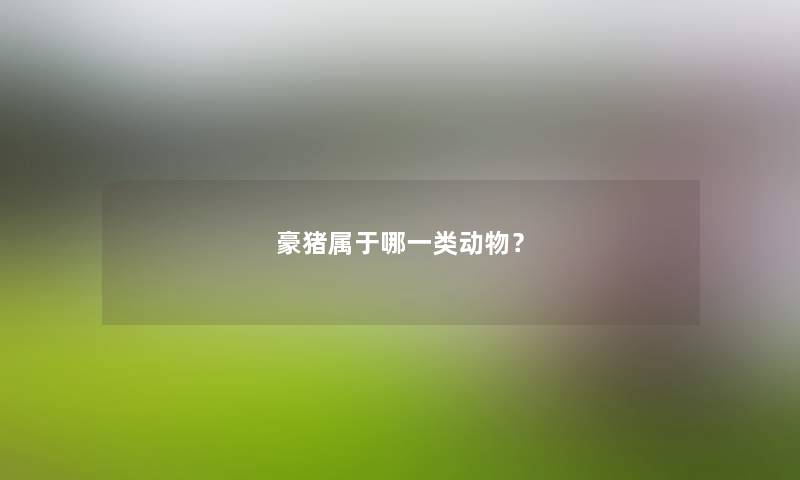 豪猪属于哪一类动物？