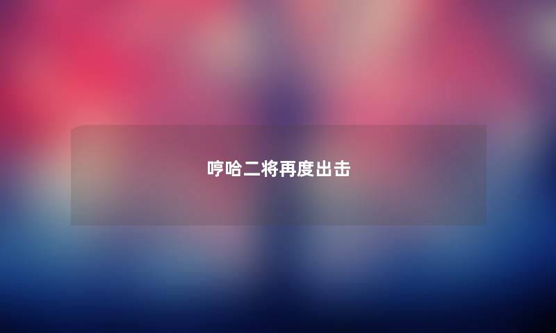 哼哈二将再度出击