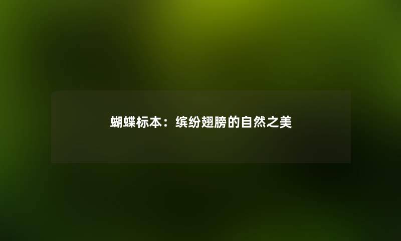 蝴蝶标本：缤纷翅膀的自然之美