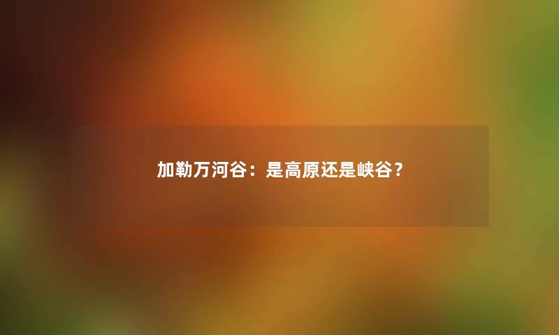 加勒万河谷：是高原还是峡谷？