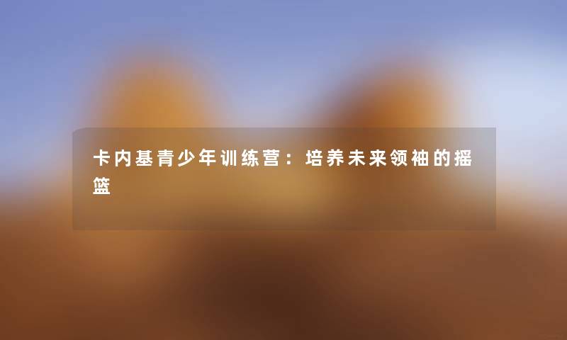 卡内基青少年训练营：培养未来领袖的摇篮