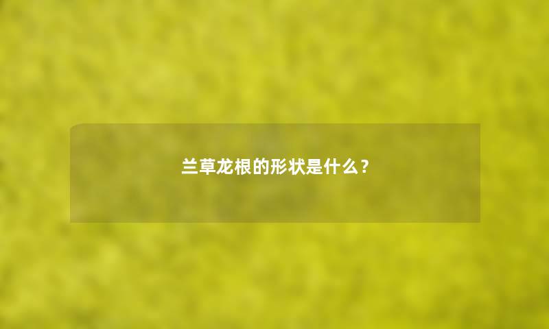 兰草龙根的形状是什么？