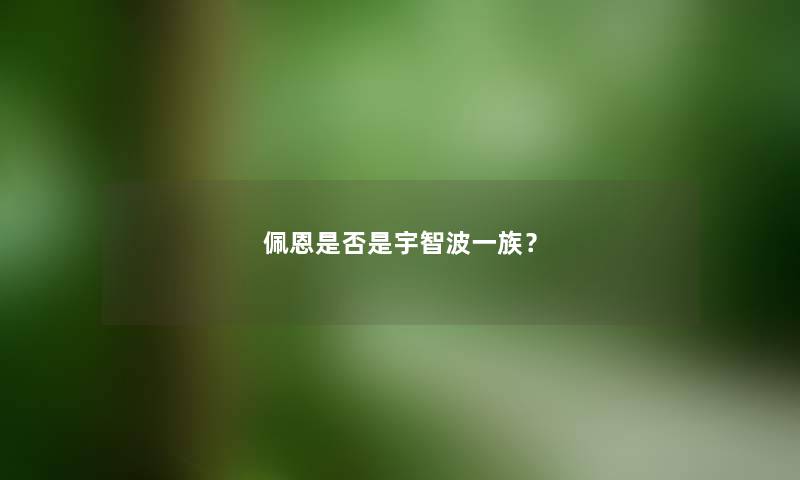 佩恩是否是宇智波一族？