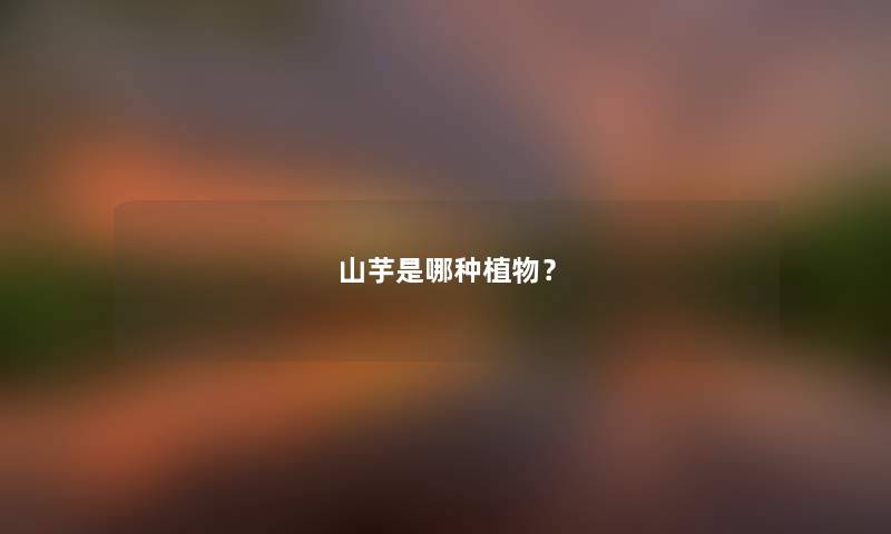 山芋是哪种植物？