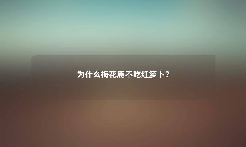 为什么梅花鹿不吃红箩卜？