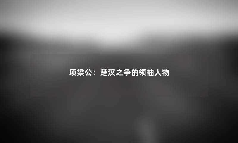 项梁公：楚汉之争的领袖人物