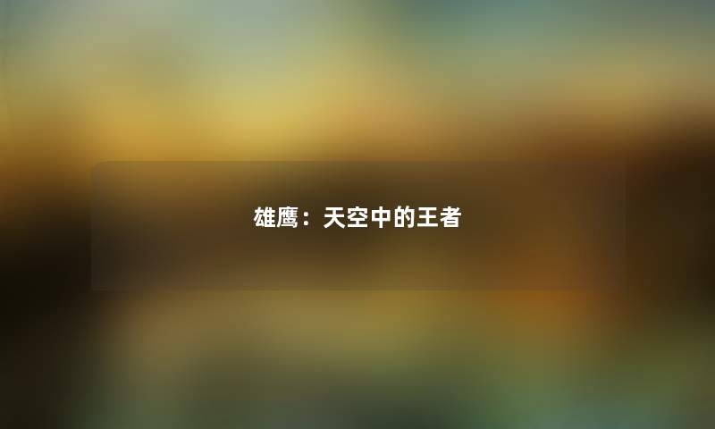 雄鹰：天空中的王者