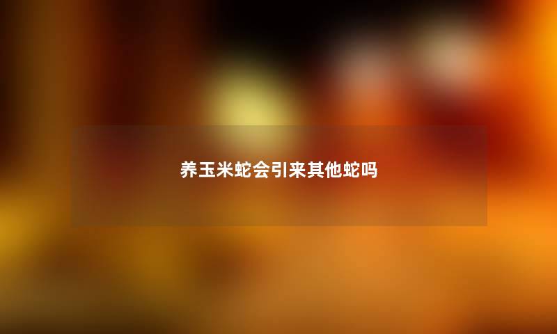 养玉米蛇会引来其他蛇吗