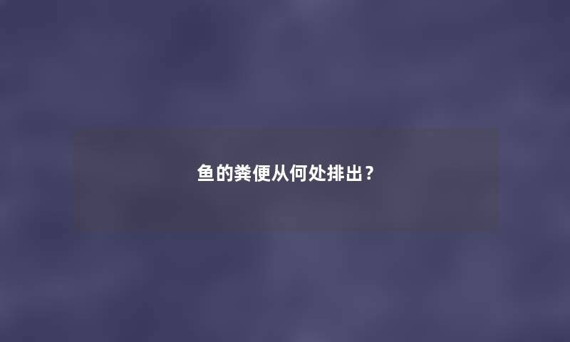 鱼的粪便从何处排出？