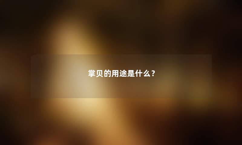 掌贝的用途是什么？