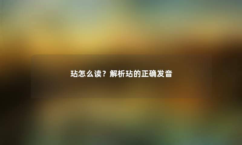 玷怎么读？解析玷的正确发音