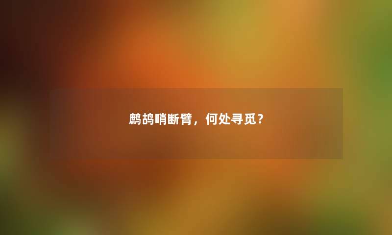 鹧鸪哨断臂，何处寻觅？