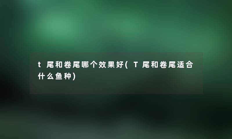 t尾和卷尾哪个效果好(T尾和卷尾适合什么鱼种) t尾和卷尾哪个效果好(T尾和卷尾适合什么鱼种)