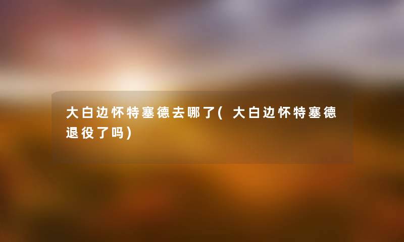 大白边怀特塞德去哪了(大白边怀特塞德退役了吗) 大白边怀特塞德去哪了(大白边怀特塞德退役了吗)