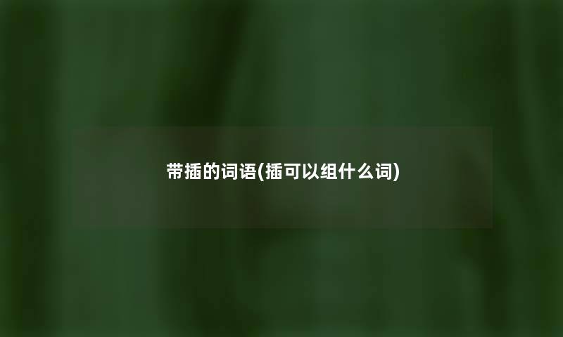带插的词语(插可以组什么词)