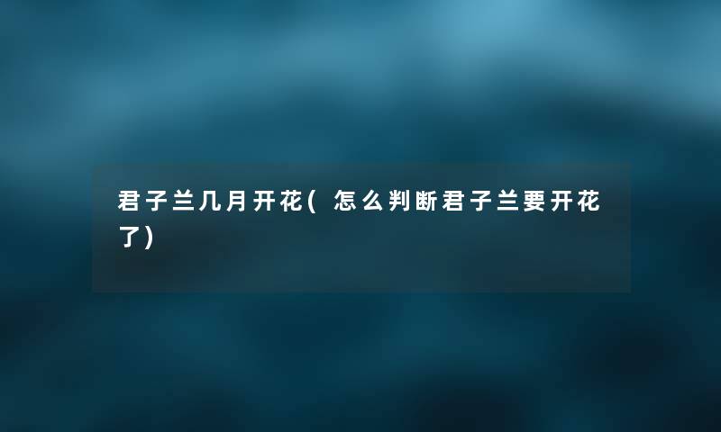 君子兰几月开花(怎么判断君子兰要开花了)