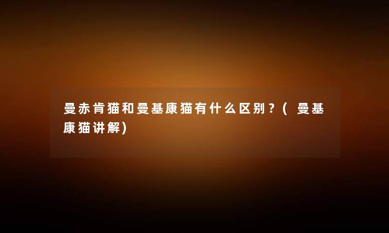曼赤肯猫和曼基康猫有什么区别?(曼基康猫讲解) 曼赤肯猫和曼基康猫有什么区别?(曼基康猫讲解)