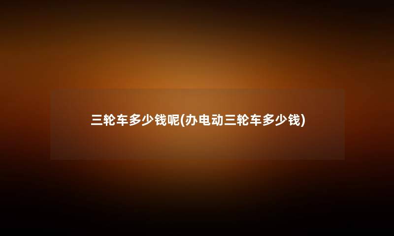 三轮车多少钱呢(办电动三轮车多少钱)
