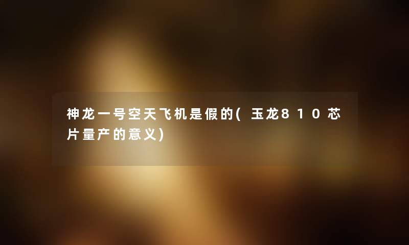 神龙一号空天飞机是假的(玉龙810芯片量产的意义) 神龙一号空天飞机是假的(玉龙810芯片量产的意义)