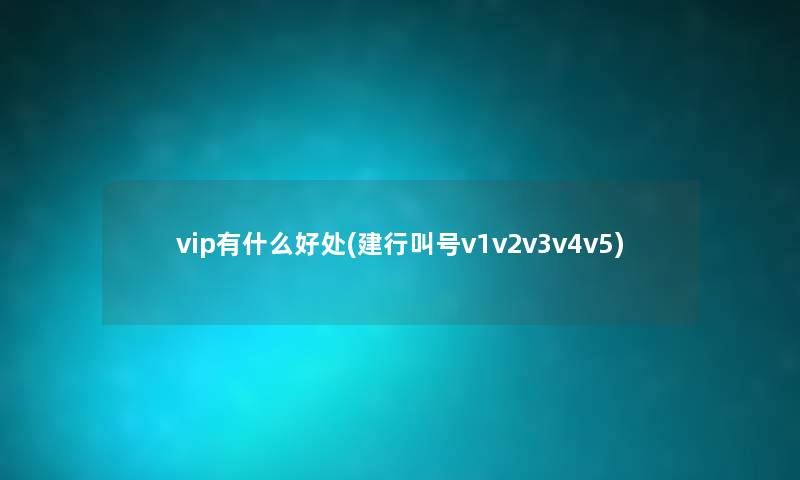 vip有什么好处(建行叫号v1v2v3v4v5) vip有什么好处(建行叫号v1v2v3v4v5)