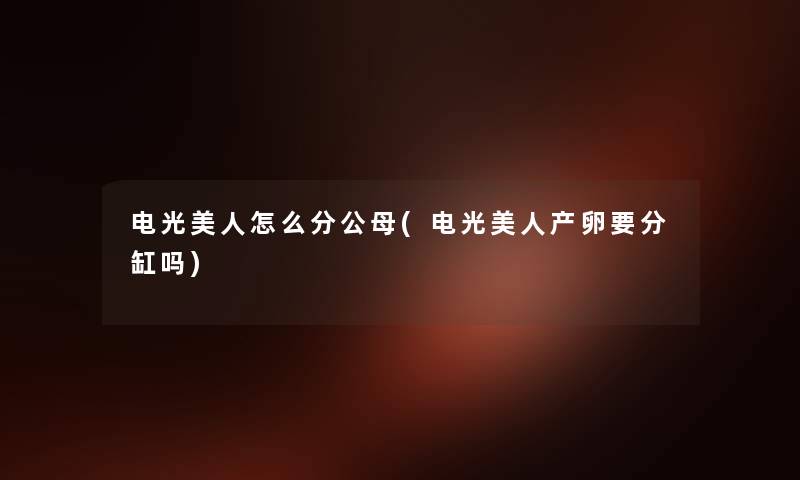 电光美人怎么分公母(电光美人产卵要分缸吗) 电光美人怎么分公母(电光美人产卵要分缸吗)