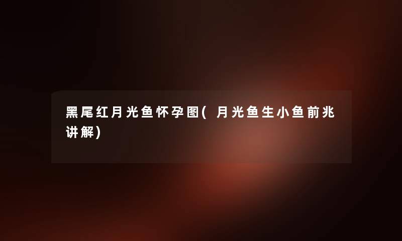 黑尾红月光鱼怀孕图(月光鱼生小鱼前兆讲解) 黑尾红月光鱼怀孕图(月光鱼生小鱼前兆讲解)