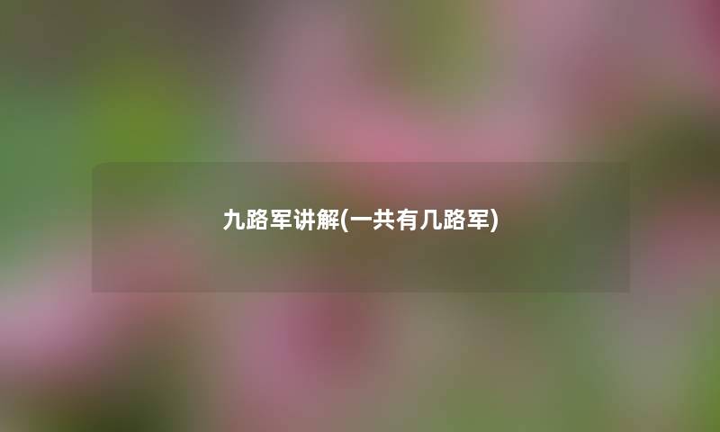 九路军讲解(一共有几路军) 九路军讲解(一共有几路军)