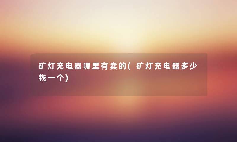 矿灯充电器哪里有卖的(矿灯充电器多少钱一个) 矿灯充电器哪里有卖的(矿灯充电器多少钱一个)