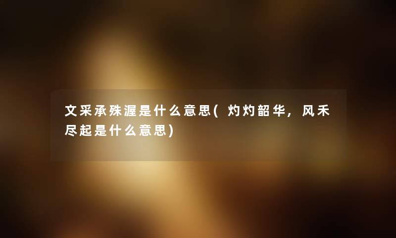 文采承殊渥是什么意思(灼灼韶华,风禾尽起是什么意思) 文采承殊渥是什么意思(灼灼韶华,风禾尽起是什么意思)