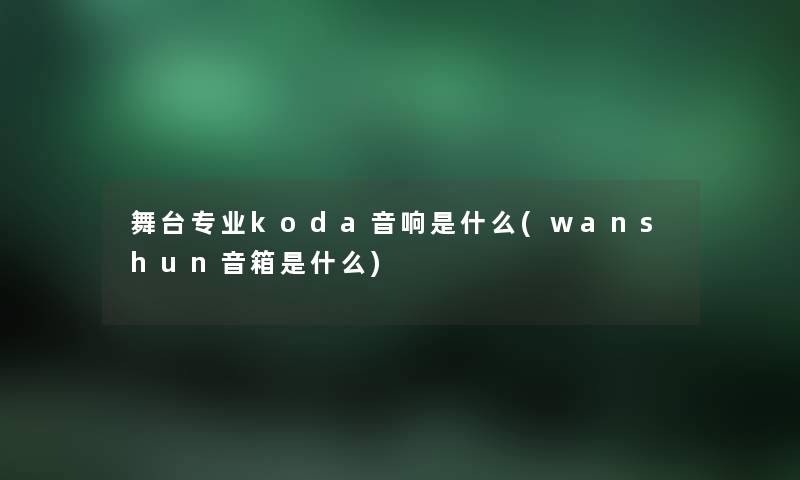 舞台专业koda音响是什么(wanshun音箱是什么)