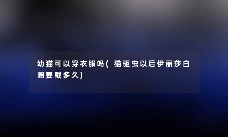 幼猫可以穿衣服吗(猫驱虫以后伊丽莎白圈要戴多久) 幼猫可以穿衣服吗(猫驱虫以后伊丽莎白圈要戴多久)