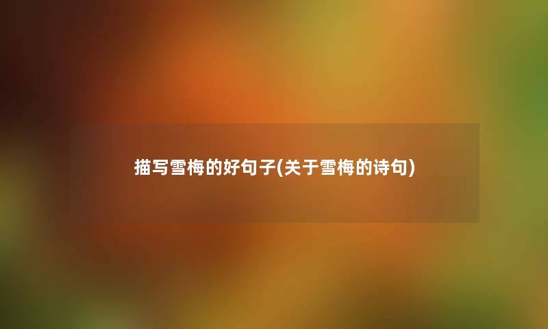 描写雪梅的好句子(关于雪梅的诗句)
