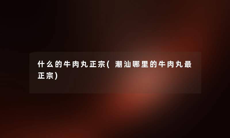 什么的牛肉丸正宗(潮汕哪里的牛肉丸正宗)