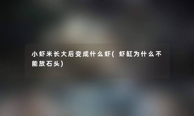 小虾米长大后变成什么虾(虾缸为什么不能放石头) 小虾米长大后变成什么虾(虾缸为什么不能放石头)
