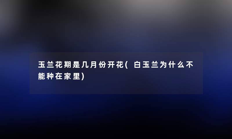 玉兰花期是几月份开花(白玉兰为什么不能种在家里) 玉兰花期是几月份开花(白玉兰为什么不能种在家里)
